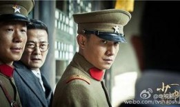 少帅 在线观看,在线重温传奇人生